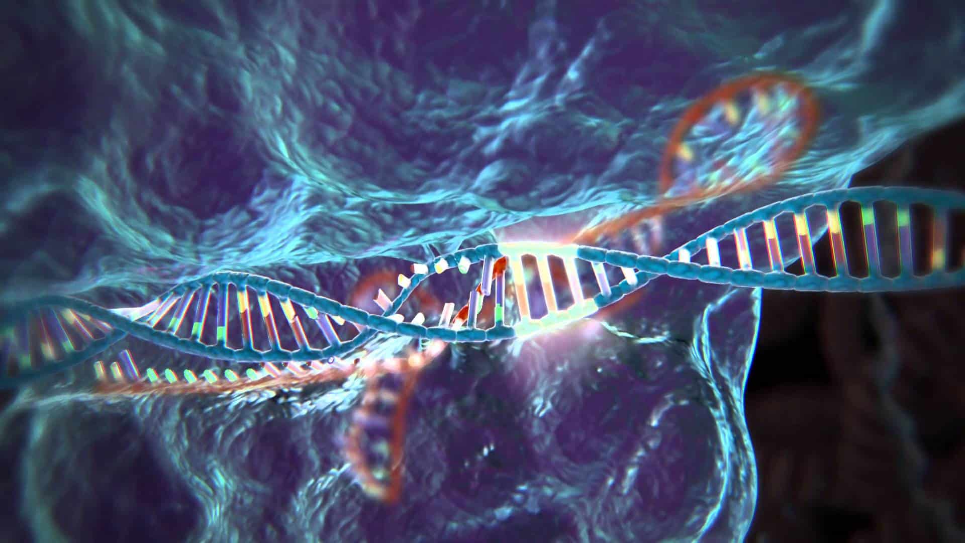 CRISPR est une biotechnologie capable de manipuler un gène pour le renforcer, ou lui retirer tous ses défauts