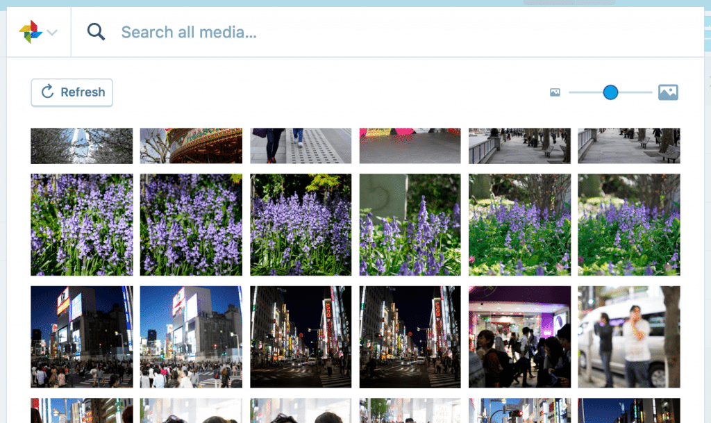 WordPress Google Photos