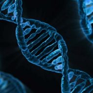 ADN stockage de données