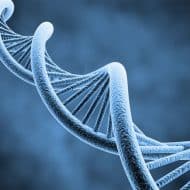 Un test ADN pour détecter plus de 193 maladies dès la naissance. Le FBI obtient l'accès à une gigantesque base de données ADN