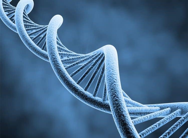 Un test ADN pour détecter plus de 193 maladies dès la naissance. Le FBI obtient l'accès à une gigantesque base de données ADN