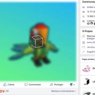 publication 3D Facebook Lego