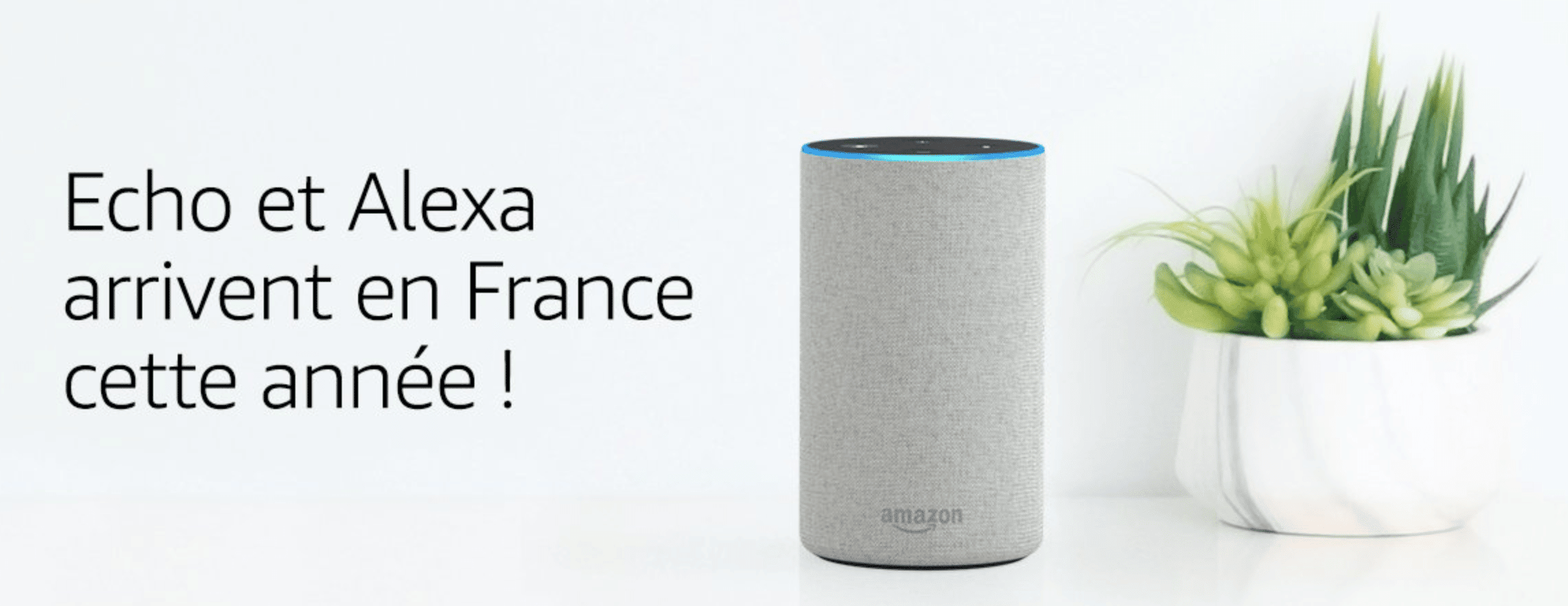 Alexa en France