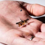 RoboFly : le premier robot de la taille d'un insecte, volant sans fils