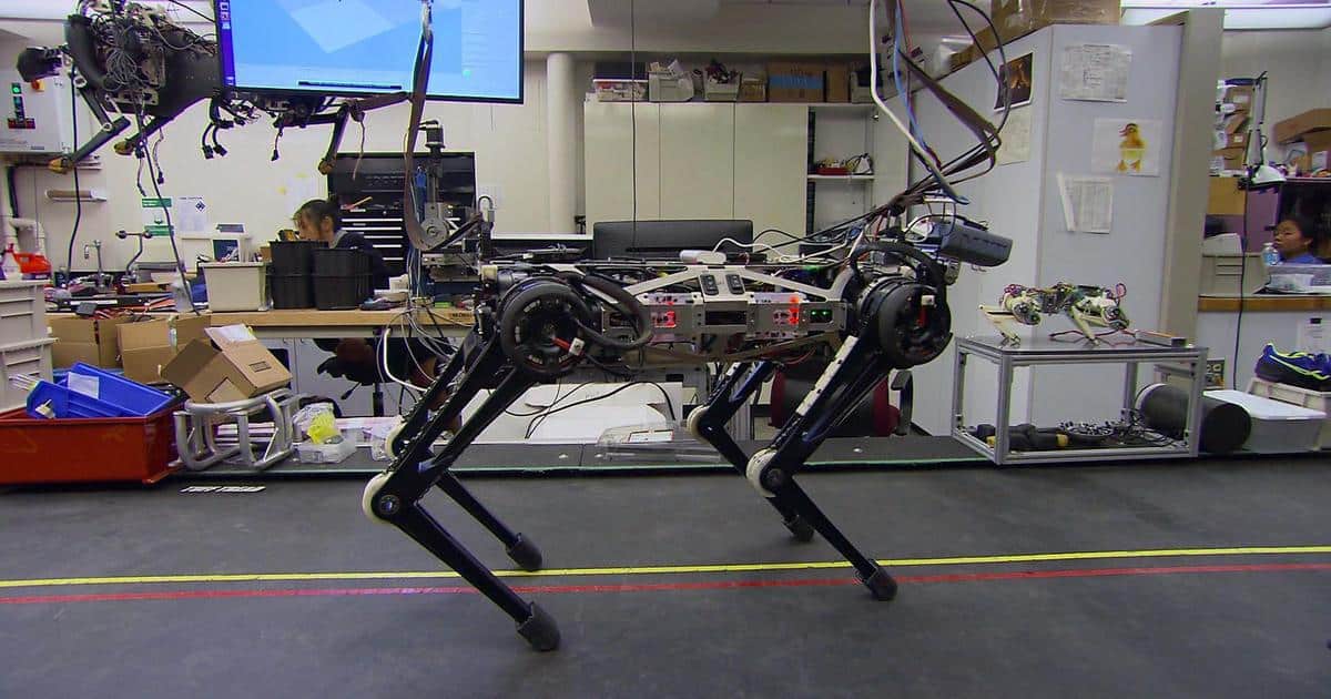 Cheetah 3 : le robot aveugle capable de monter les marches