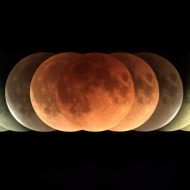 Une éclipse lunaire est prévue vendredi 27 juillet