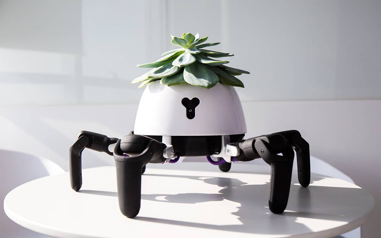 robot pot de fleur