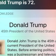 La photo de Donald Trump sur Wikipedia remplacée par un penis