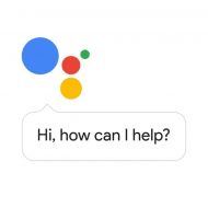 Logo du Google Assistant