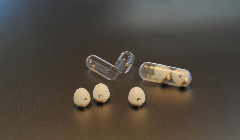 Des chercheurs du MIT imaginent une pilule pour éviter les injections d'insuline.