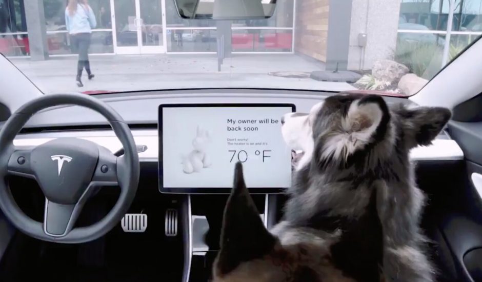 Le "mode chien" et le "mode sentinelle" sont désormais disponibles sur les véhicules Tesla
