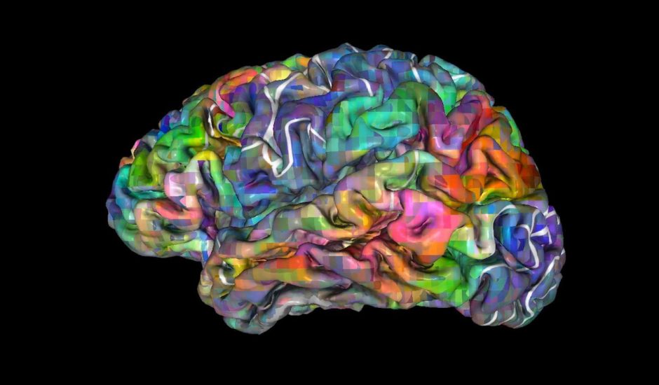 Des chercheurs capables de prédire ce que votre cerveau va décider.