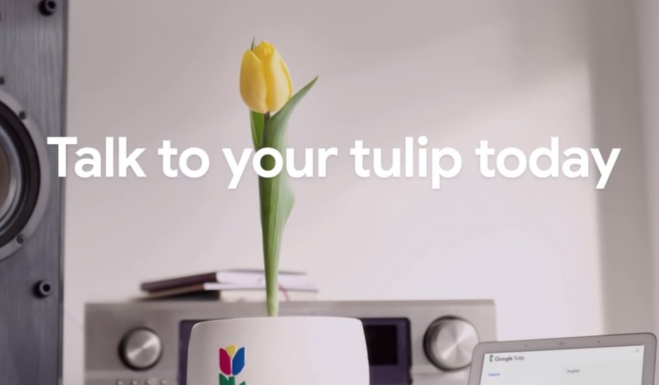 Google Tulip poisson d'avril