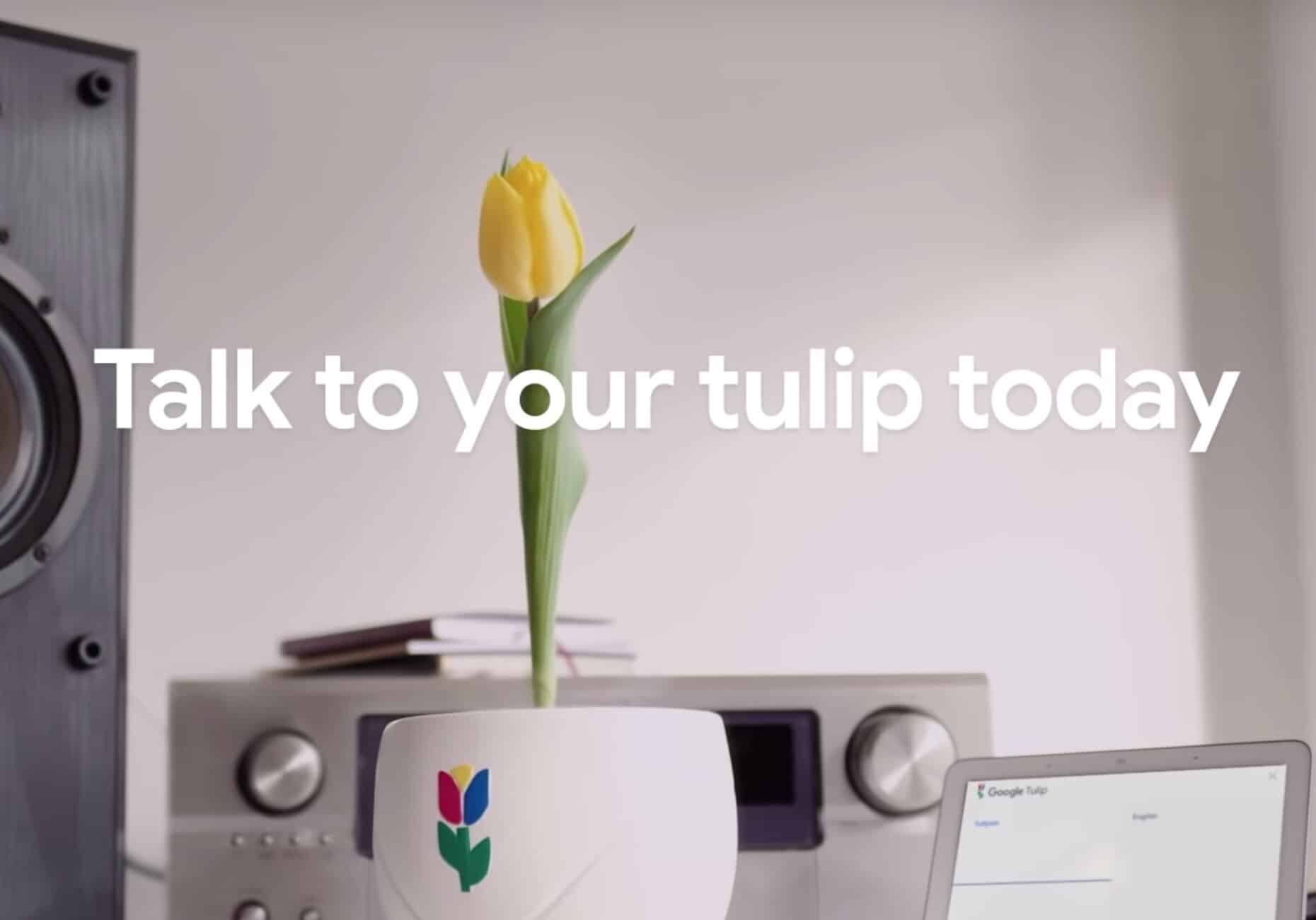 Google Tulip poisson d'avril