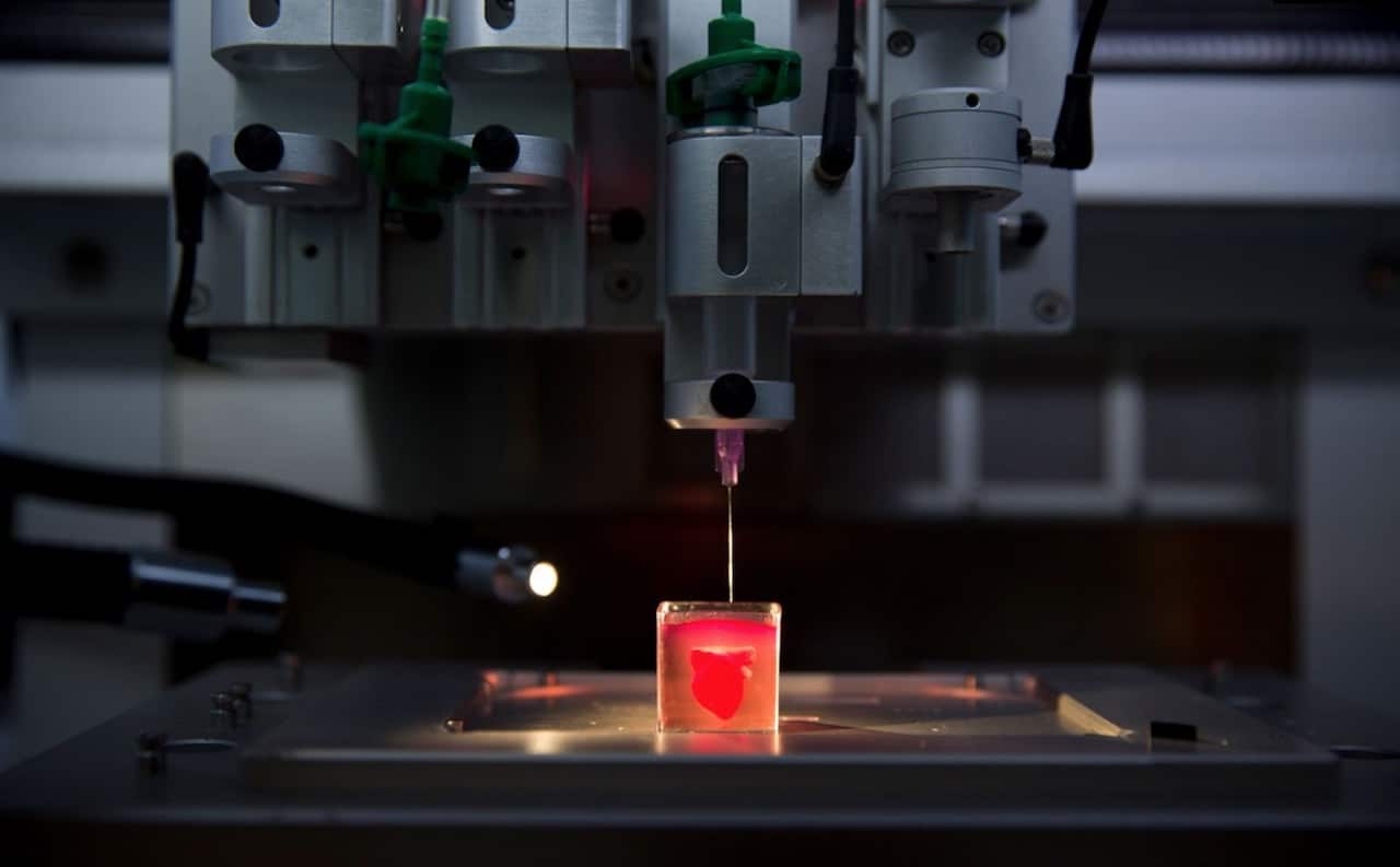 L'impression d'un cœur 3D pourrait révolutionner la médecine.