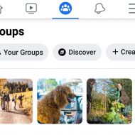 Un onglet Discover pour trouver des groupes Facebook intéressant