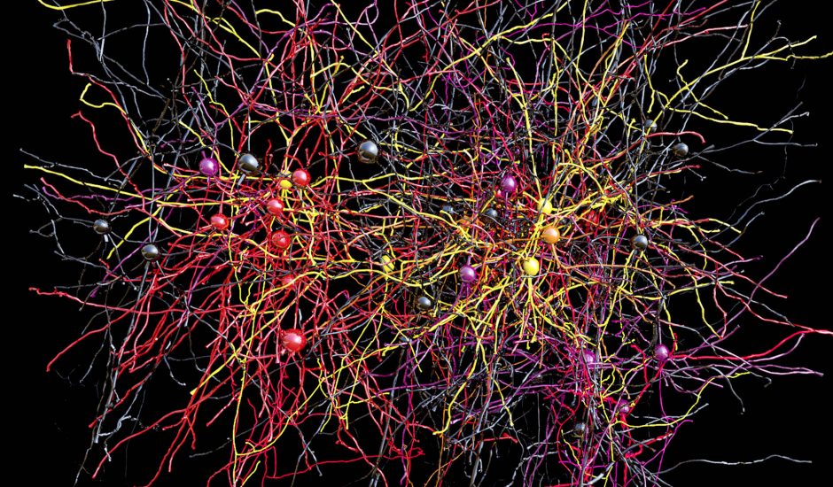 Le MIT veut créer des sous-réseaux neuronaux.