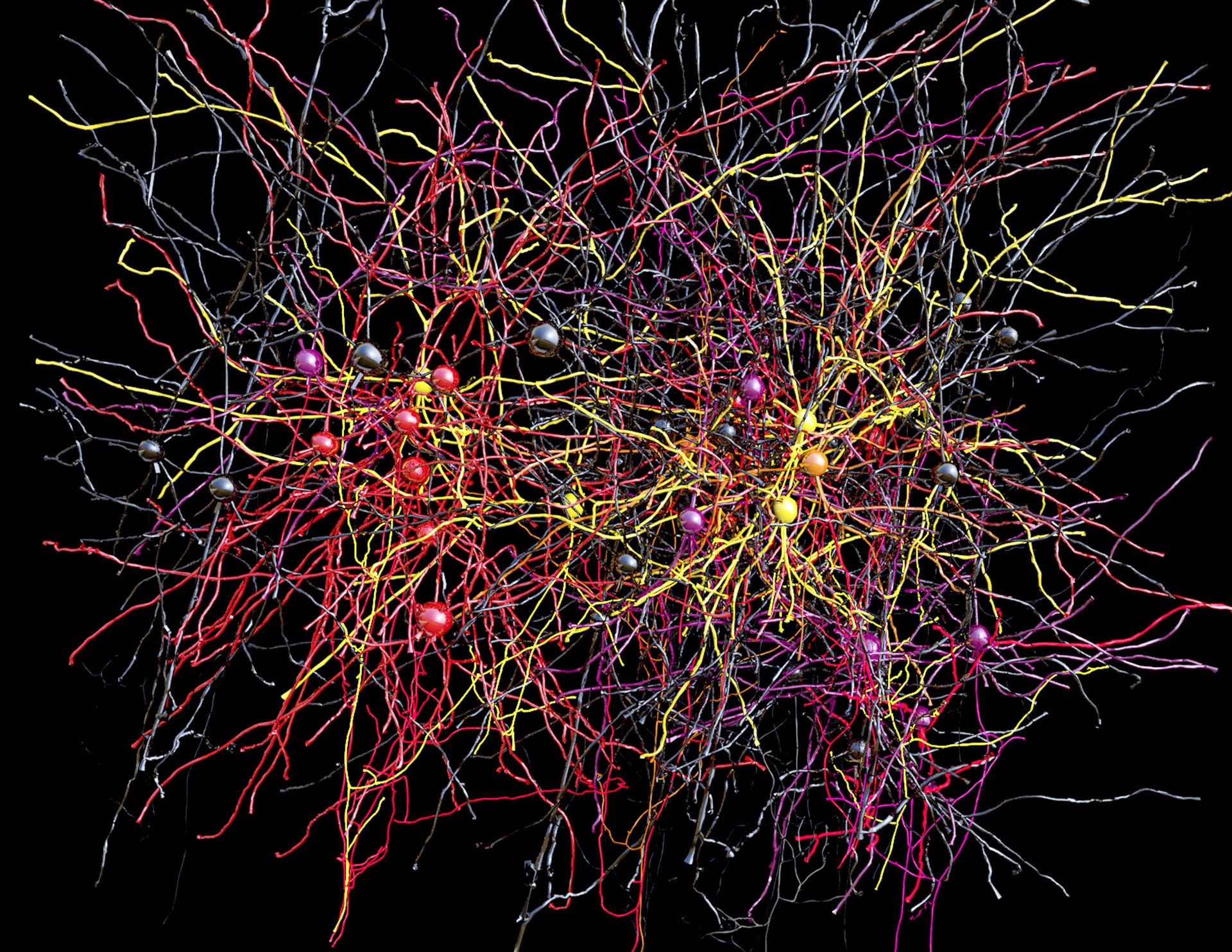 Le MIT veut créer des sous-réseaux neuronaux.