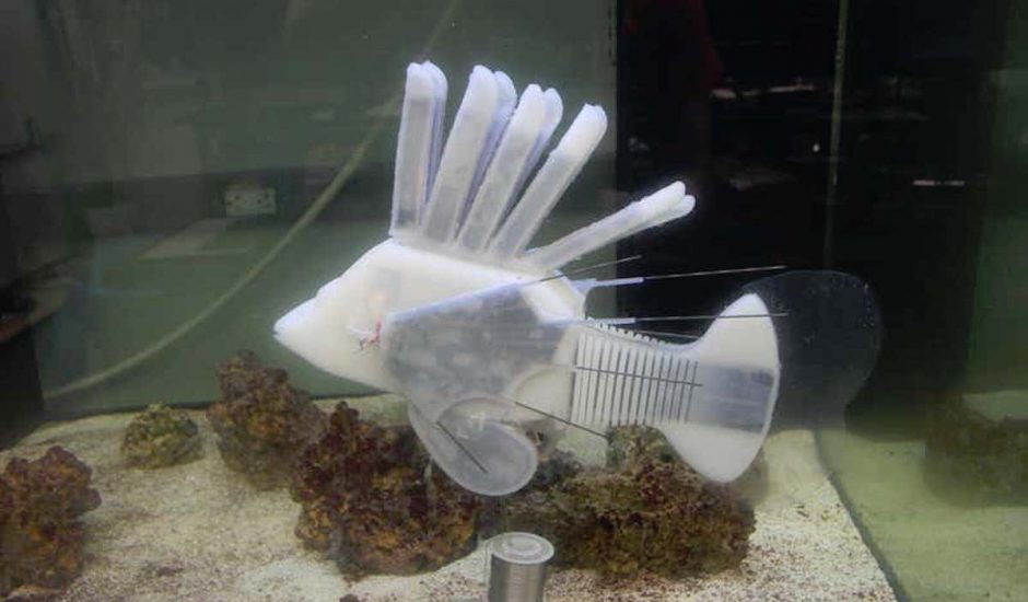Un poisson robot a pu nager 36 heures grâce à du sang électronique