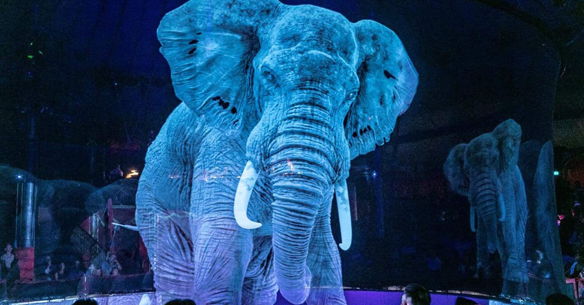 Le cirque Roncalli utilise des hologrammes à la place de ses animaux