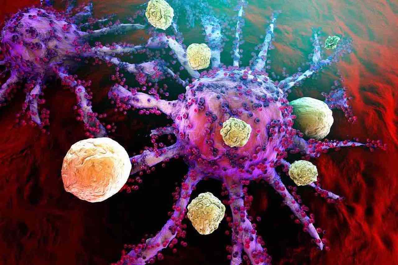 Un virus peut détruire des cellules cancéreuses.