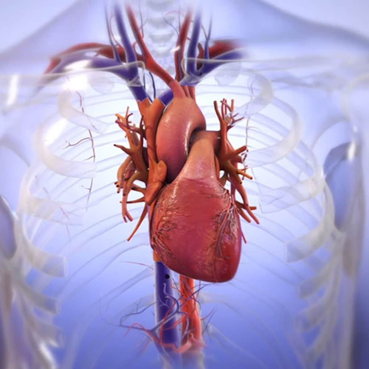 Un micro-coeur humain imprimé en 3D