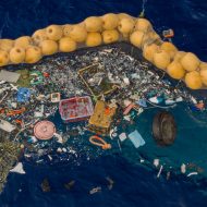 Le projet de the ocean cleanup fait ses preuves