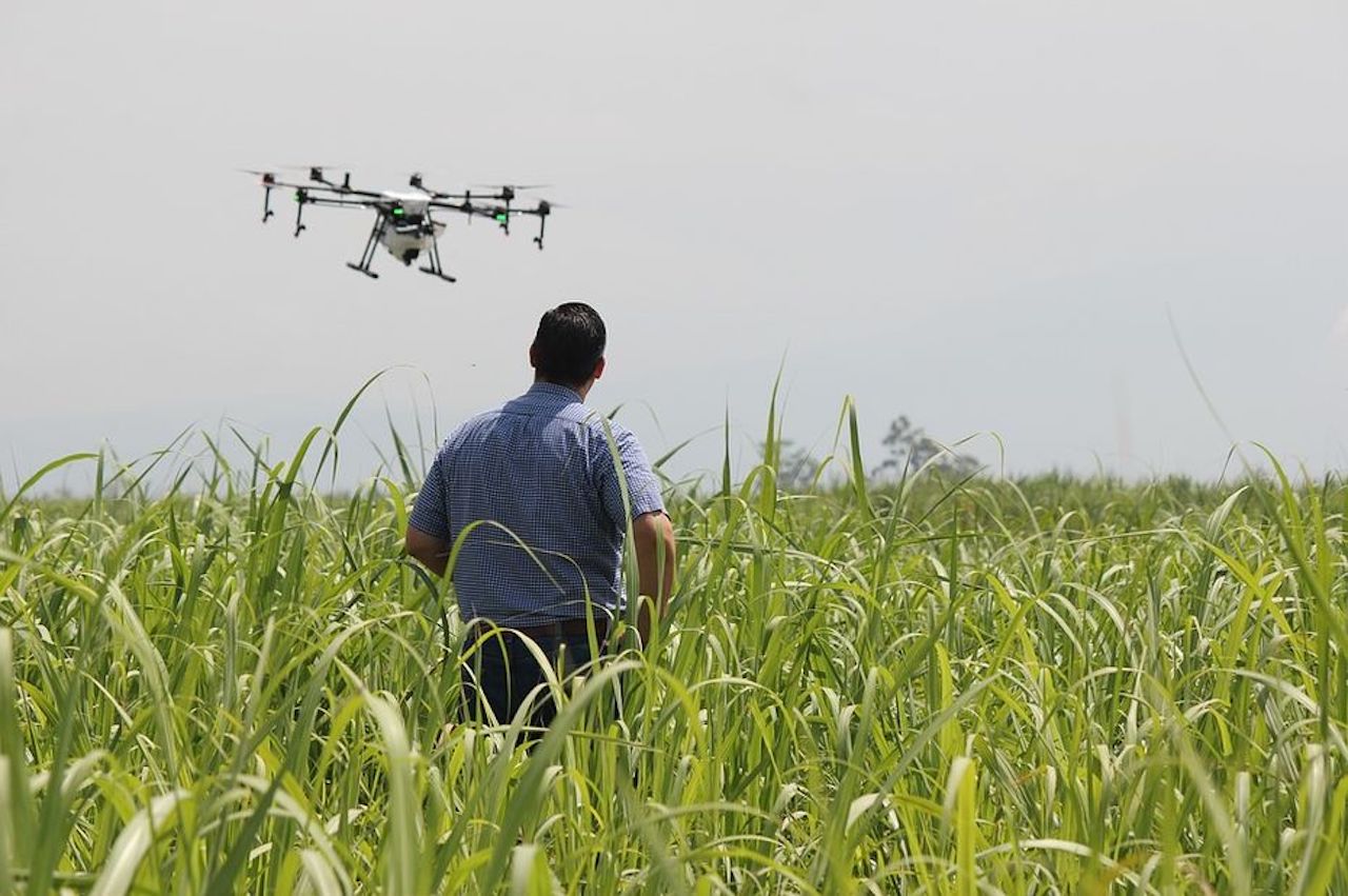 Les drones débarquent au-dessus de nos champs.