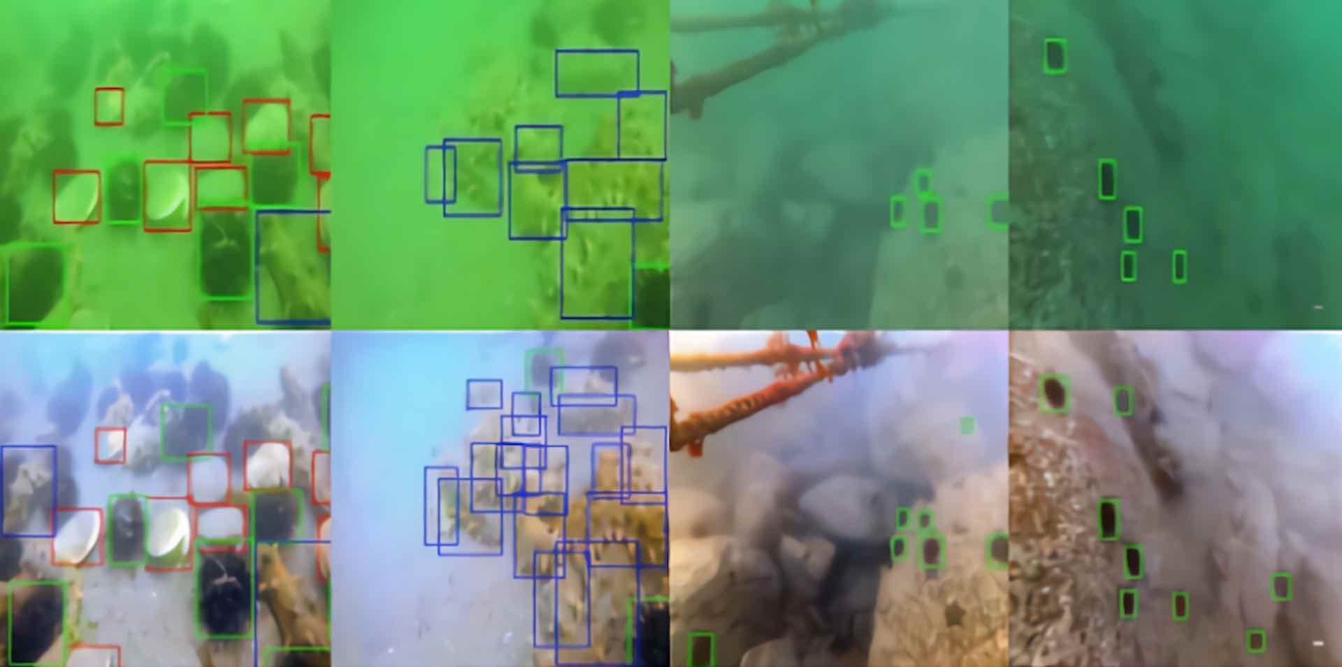 Un algorithme qui améliore les photos sous-marines.