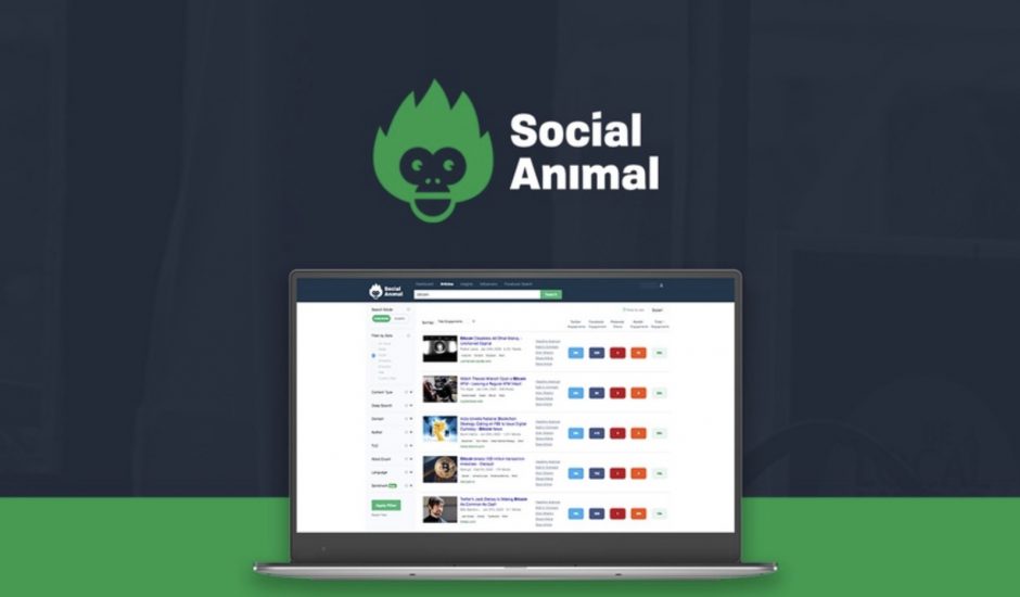 cover social animal