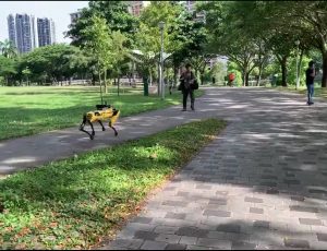 Le robot Spot de Boston Dynamics dans un parc à Singapour