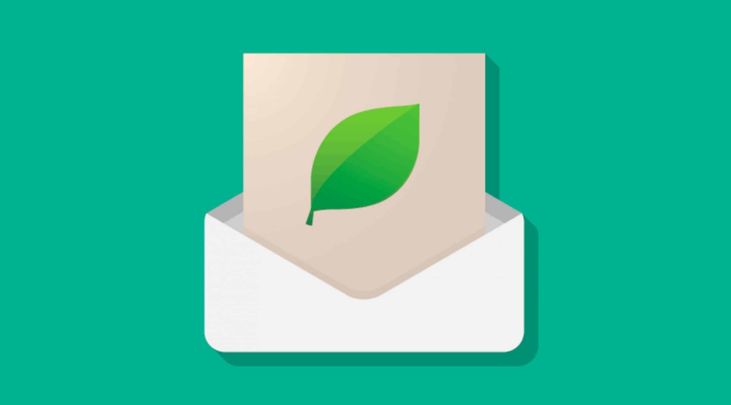 design email écologique