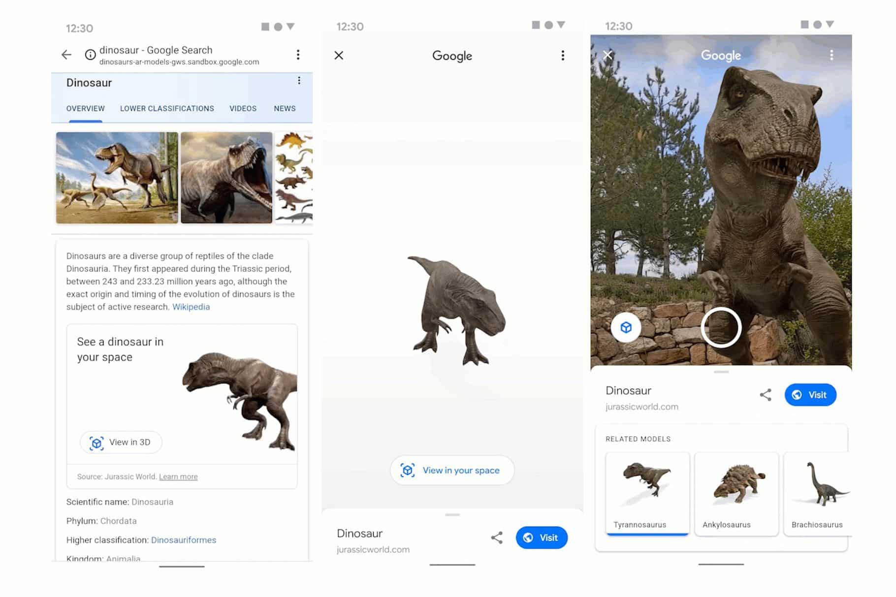 Capture d'écran de l'interface proposée par Google pour observer les dinosaures en réalité augmentée.