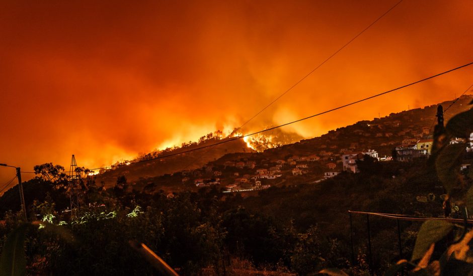 Des feux de forêt au Portugal.