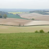 paysage de champs anglais
