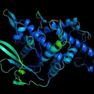 Représentation d'une protéine qui se replie en 3D, déterminant ainsi une fonction.
