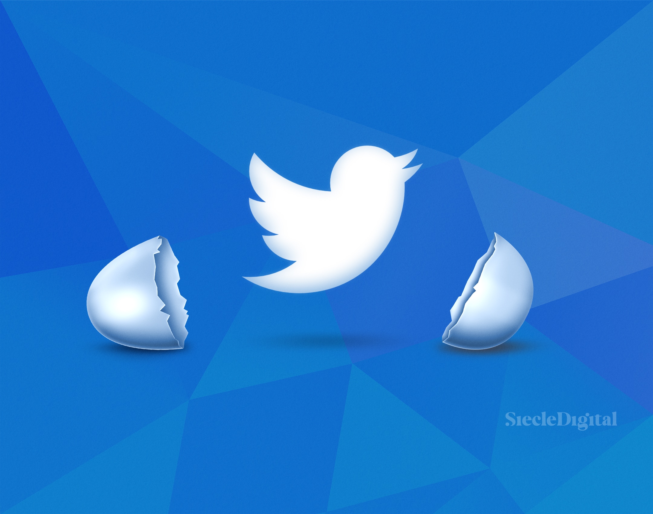 Le logo de twitter sortant d'une coquille d'oeuf