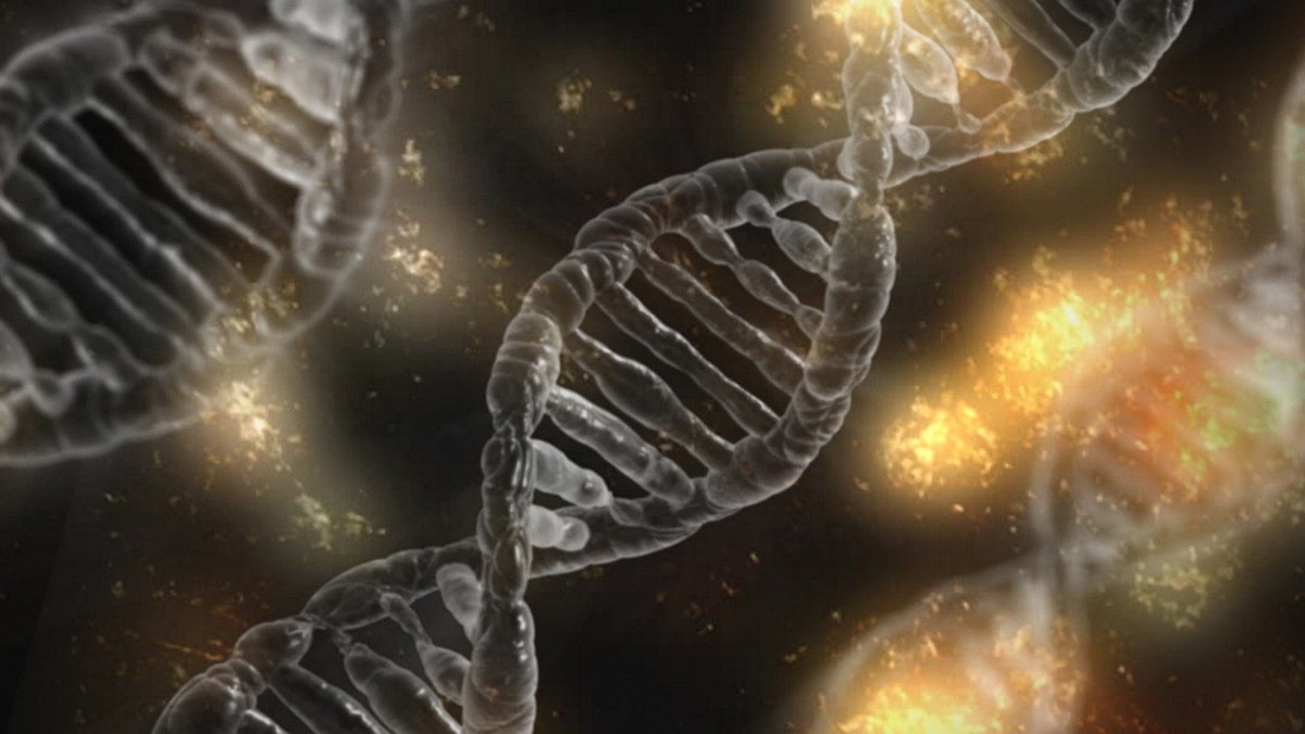 Le séquençage du génome sera bientôt possible grâce à un outil créé par NVIDIA et Harvard qui utilise l’intelligence artificielle.