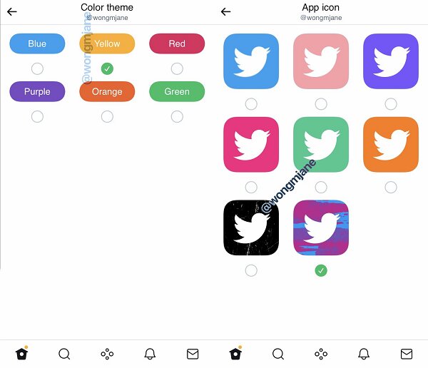 capture d'écran des nouvelles options de personnalisation de l'interface et de l'icône twitter 