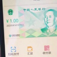 Aperçu du yuan numérique.