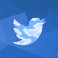 Le réseau social Twitter déploie sur sa plateforme Birdwatch, une fonctionnalité qui va l'aider contre la désinformation.