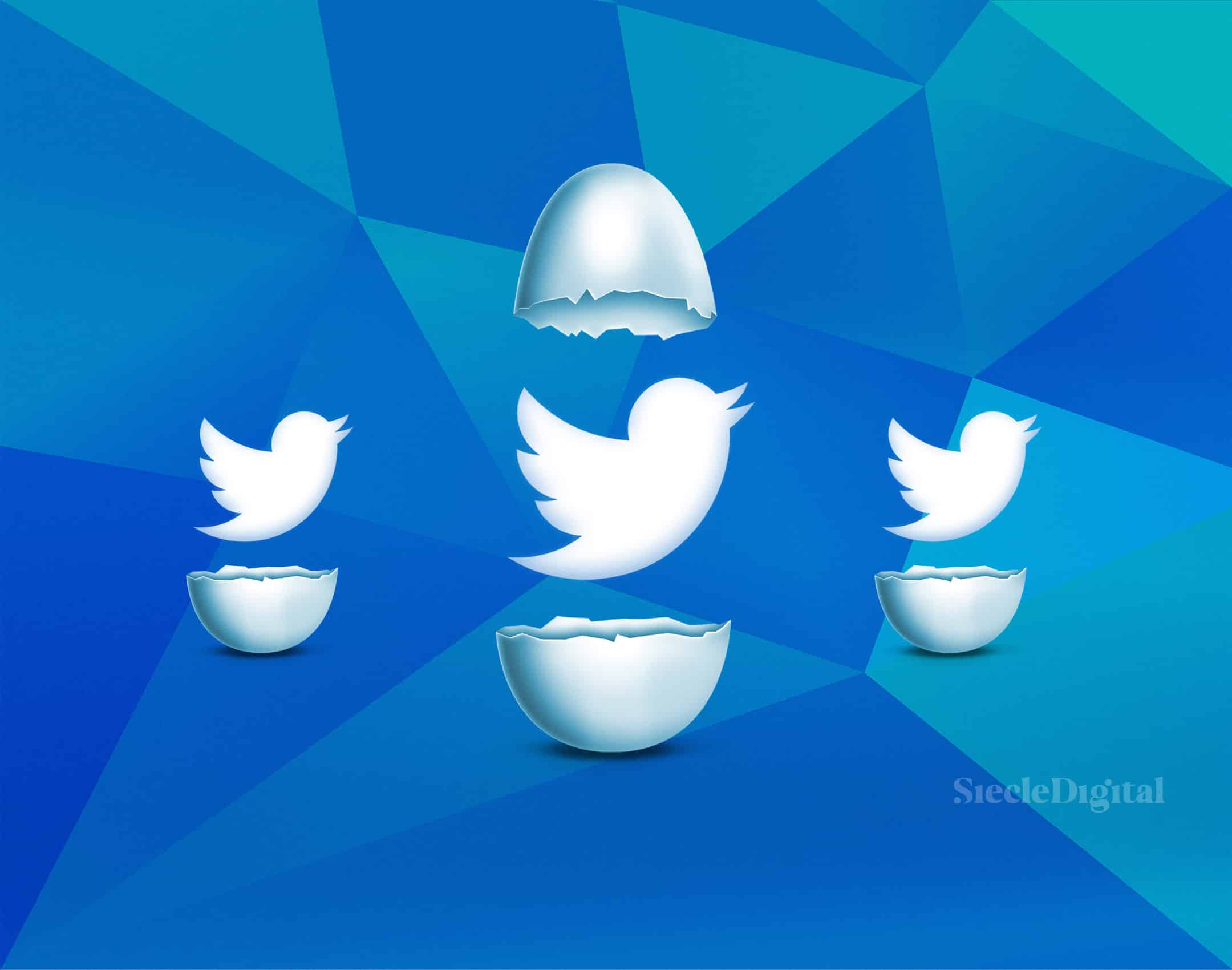 Illustration du logo Twitter