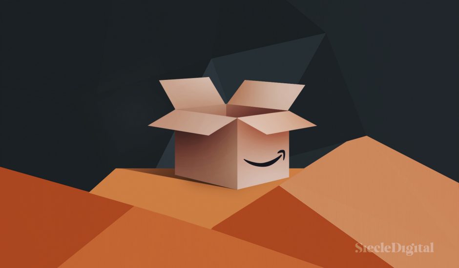 Carton avec logo Amazon