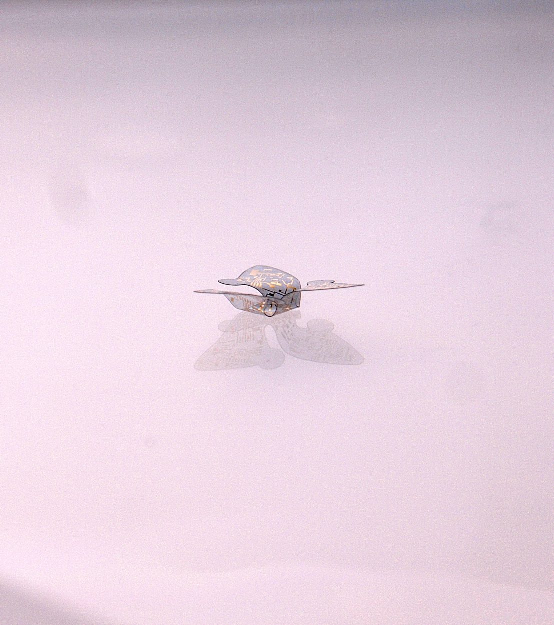 Un drone minuscule.