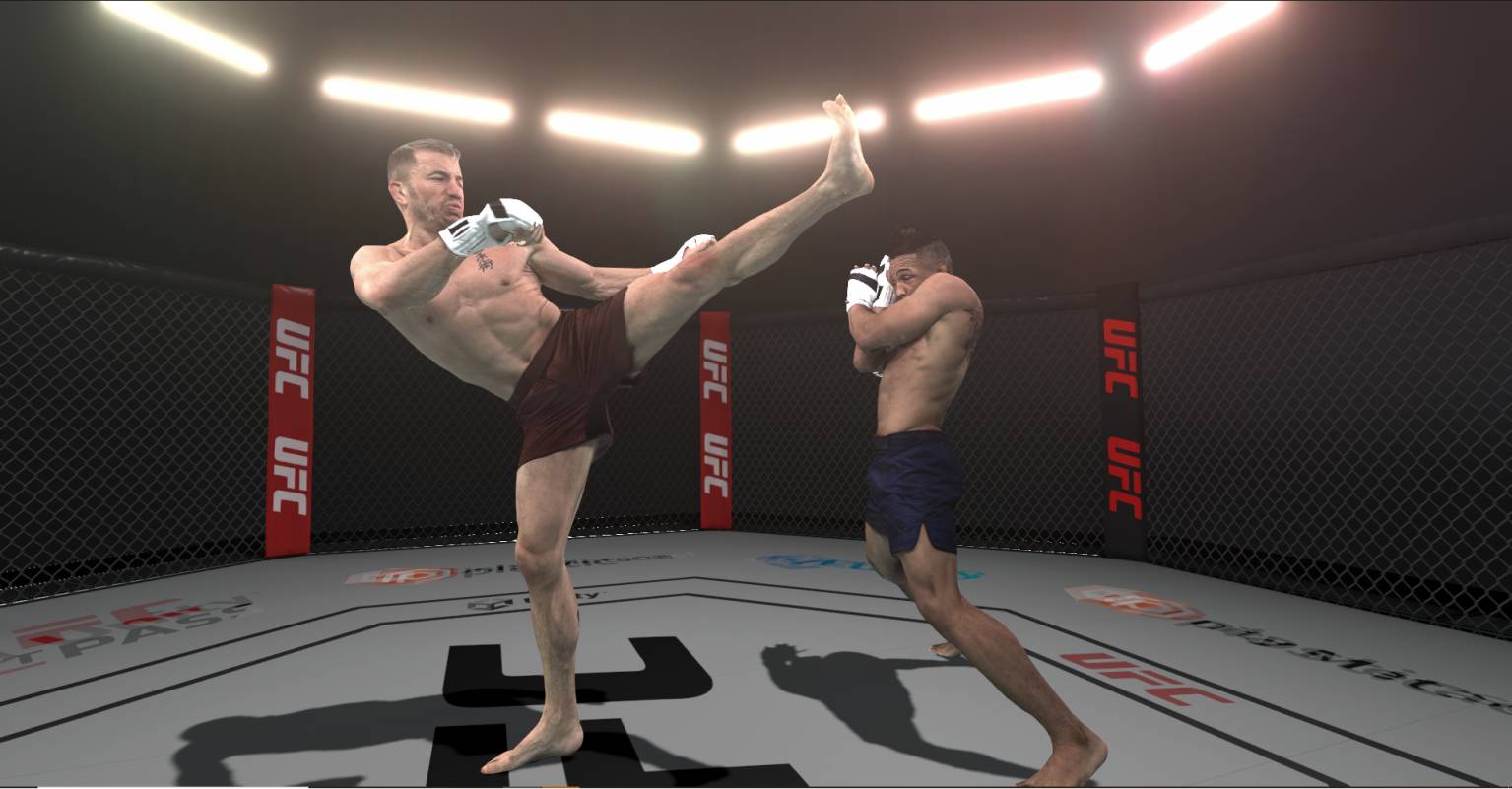 Deux combattants de MMA s'affrontent en 3D.