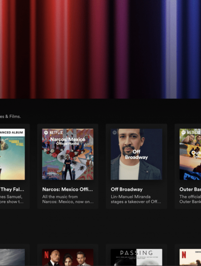 Interface du Netflix Hub sur Spotify