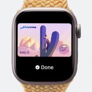 Aperçu d'une carte d'identité sur l'Apple Watch.