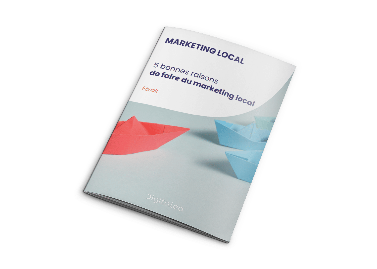 guide digitaleo marketing local