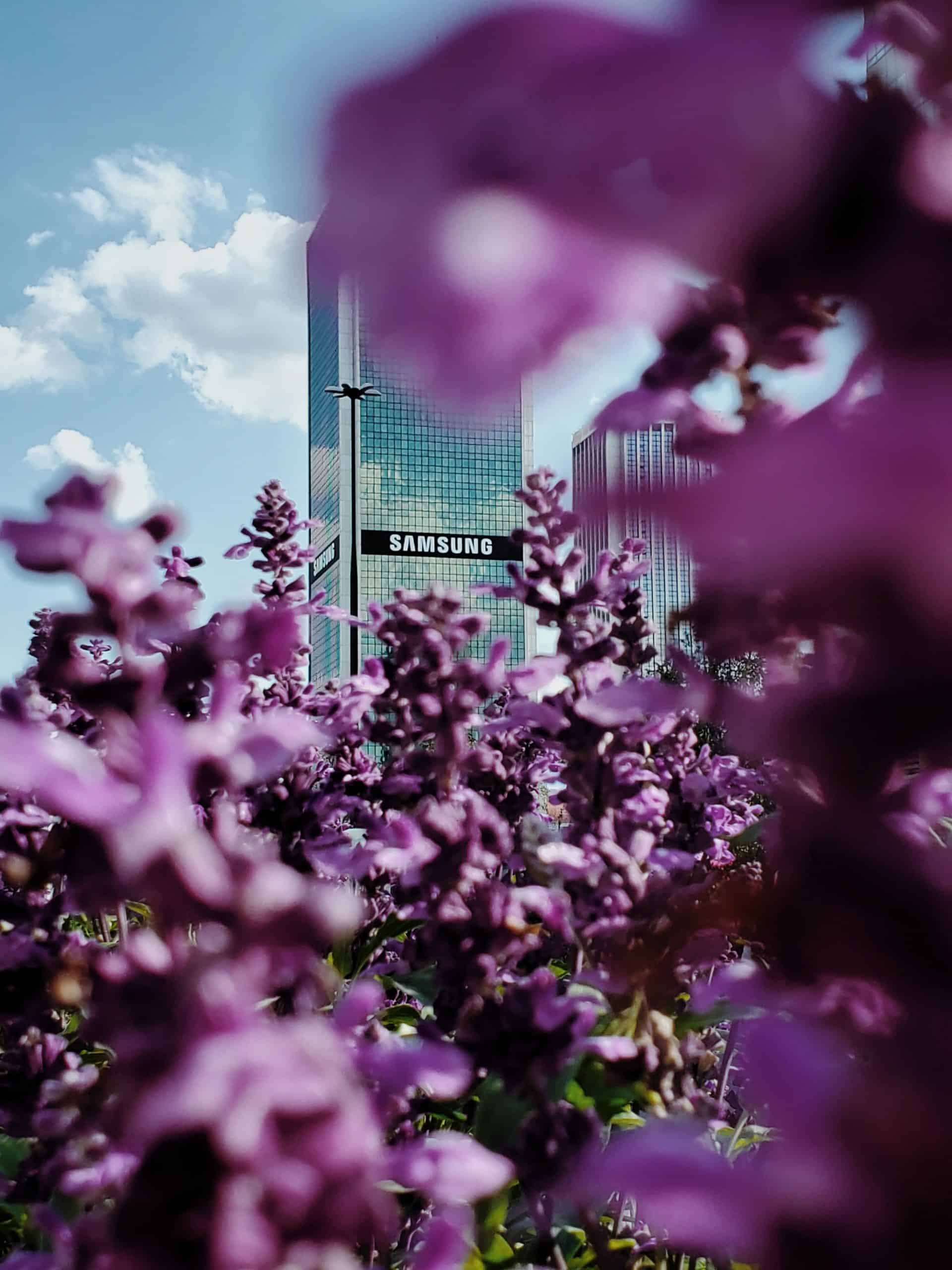 Un immeuble de bureau samsung pris en photo à travers des fleurs