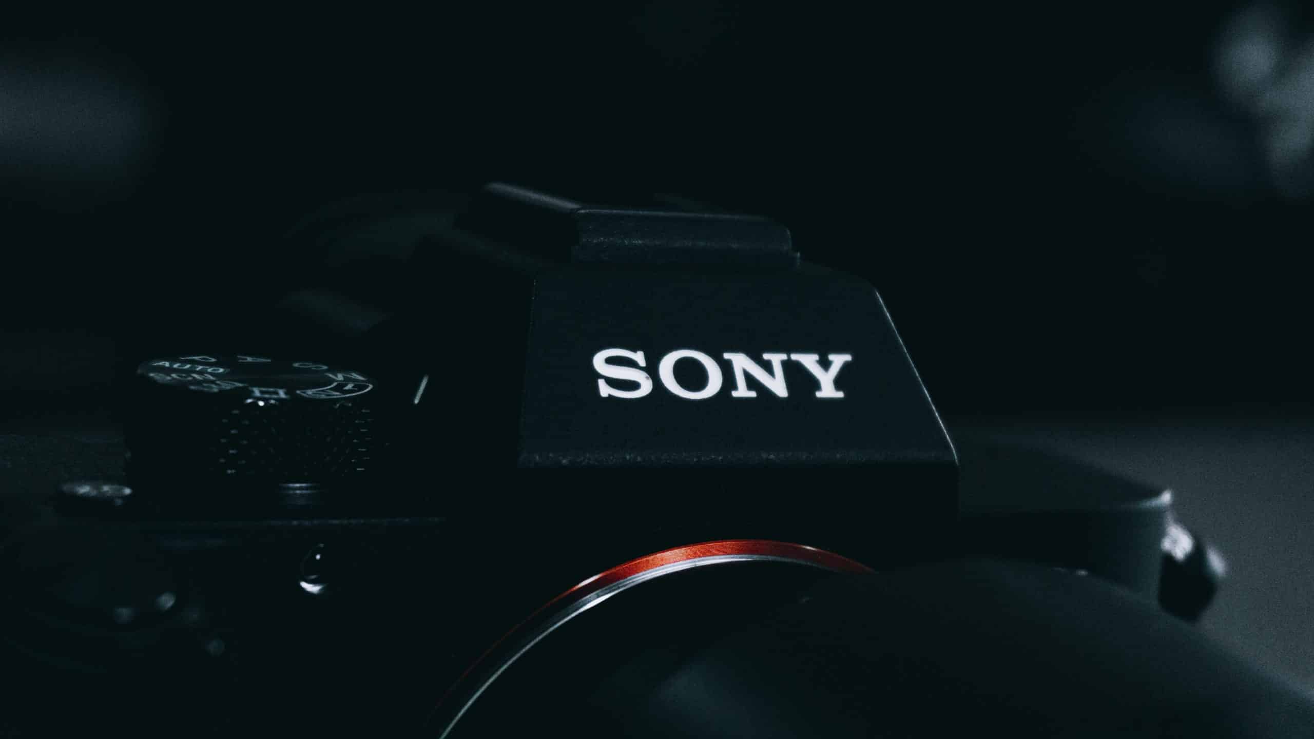 Le logo de Sony sur un appareil photo.